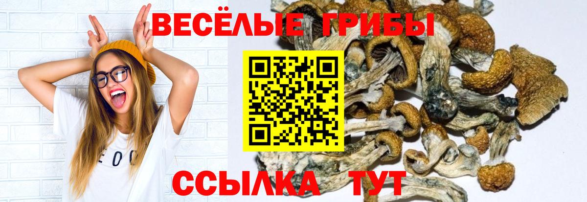 Галлюциногенные грибы мицелий  Вход с VPN  Волгодонск 
